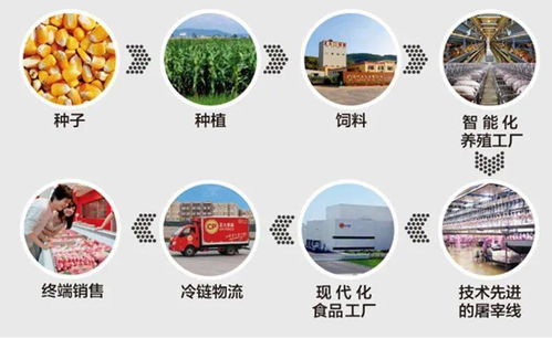 泰國首富家族要來a股了 瞄準生豬養(yǎng)殖賽道
